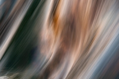 AluDibond 5075 v Siegi bear_Traunnixenhaar rotblond_DS19133LR-2