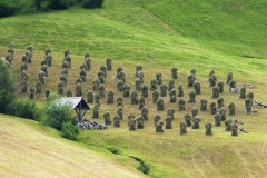 SAMSUNG DIGITAL CAMERA