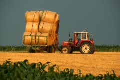 SAMSUNG DIGITAL CAMERA