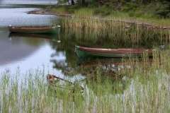 SAMSUNG DIGITAL CAMERA