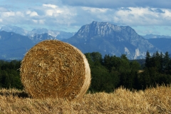 SAMSUNG DIGITAL CAMERA