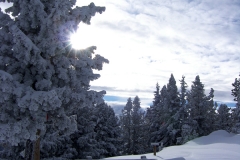 SAMSUNG DIGITAL CAMERA