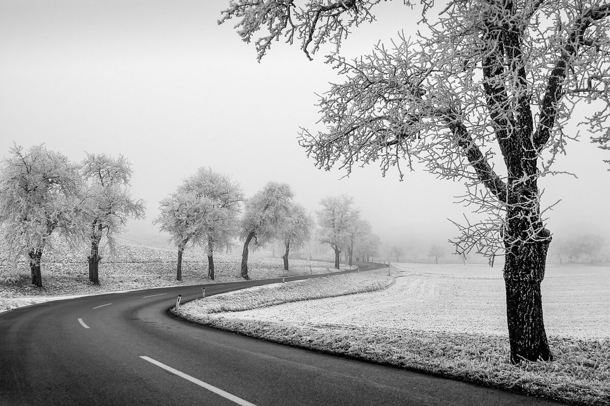 Landscape Photography