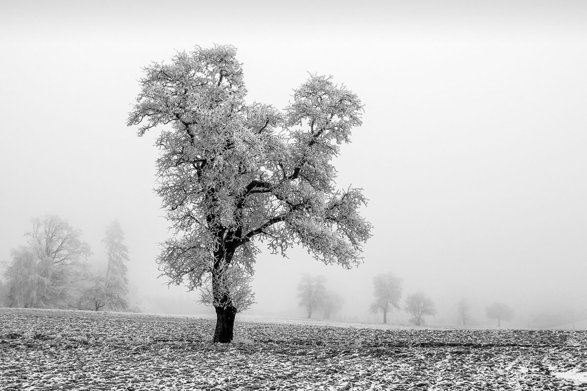 Landscape Photography